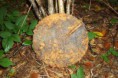 /album/nalezy-v-udoli-smrti/rzs-jpg/